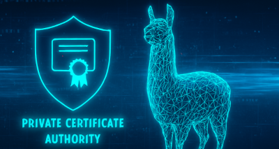 Setting Up a Private Certificate Authority at Home