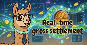 理解 RTGS：IT 专业人员必知的核心金融概念